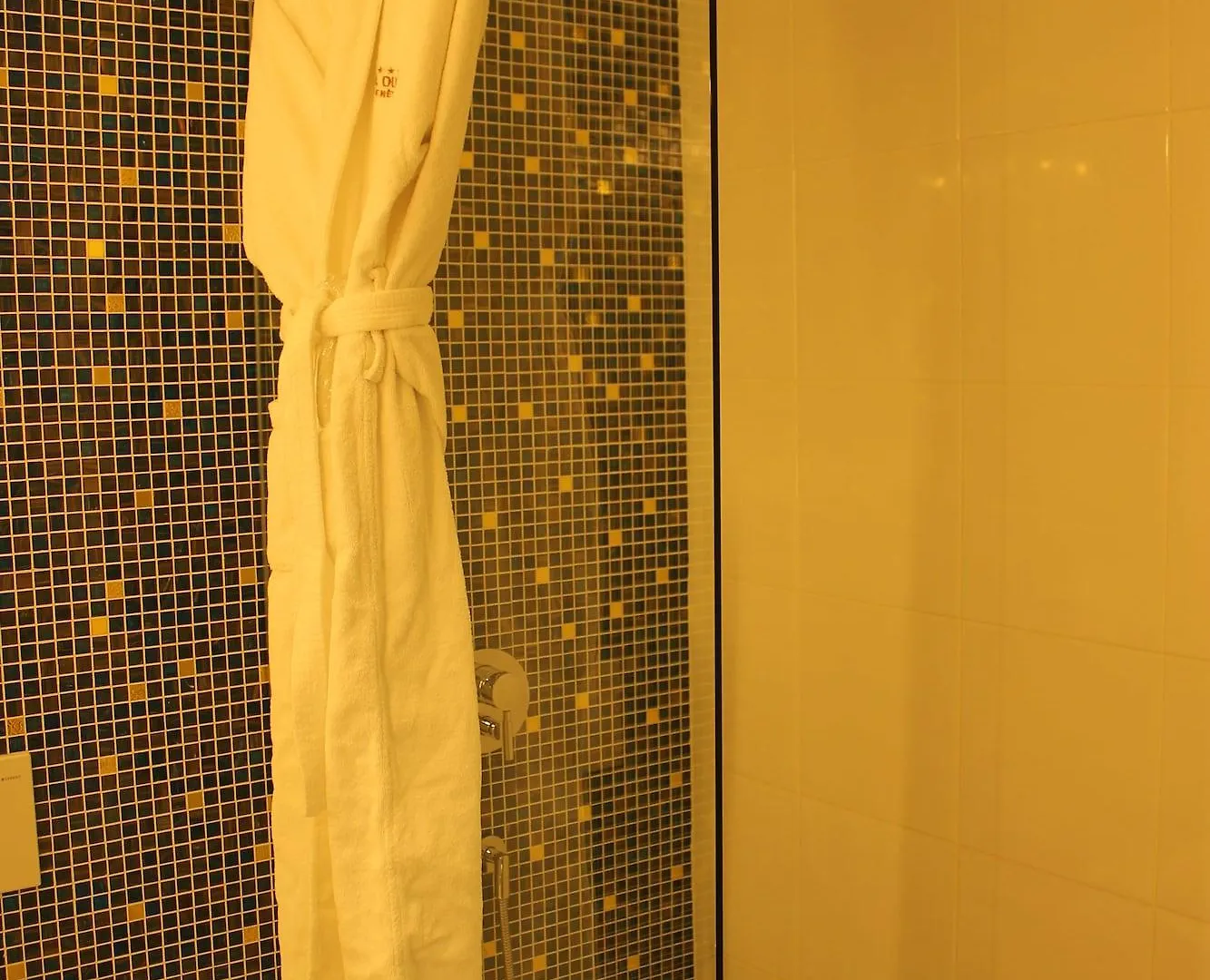 Hotel The New Midi Ginebra 4*,